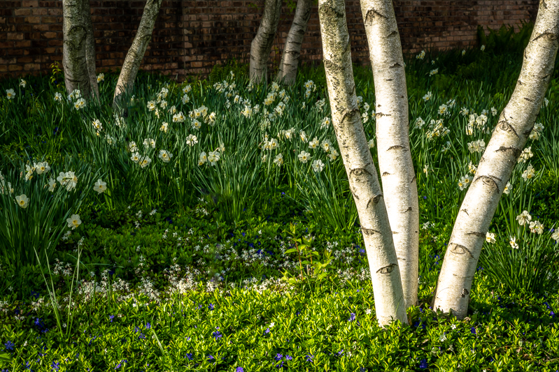 Chicago Botanic Garden - Regenstein Center