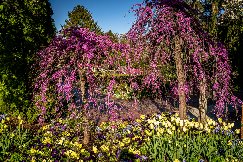 Chicago Botanic Garden - Circle Garden