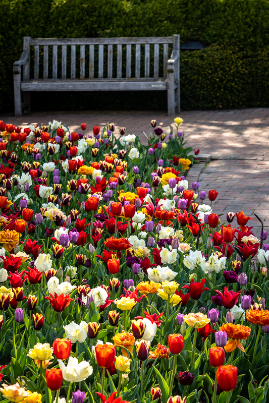 Chicago Botanic Garden - The Crescent